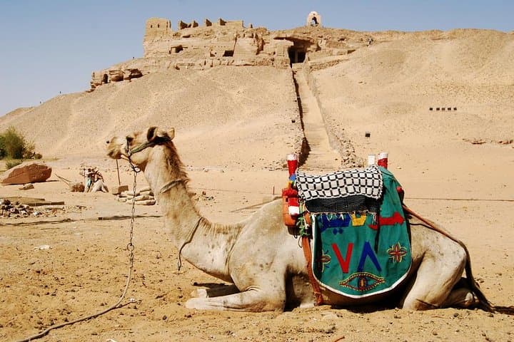 Aswan Camel Safari and Nile Boat Tour with Lunch photo 4