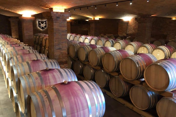 Franschhoek Wine Tasting & Babylonstoren Garden Day Tour from Cape Town photo 6