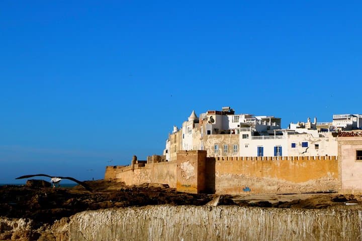 Essaouira Private Day Trip from Agadir — Medina, Harbor & Beach Camel Ride photo 4
