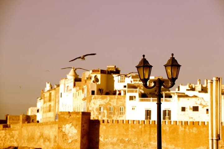 Essaouira Private Day Trip from Agadir — Medina, Harbor & Beach Camel Ride photo 6