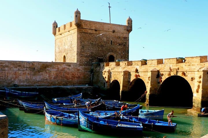 Essaouira Private Day Trip from Agadir — Medina, Harbor & Beach Camel Ride photo 5
