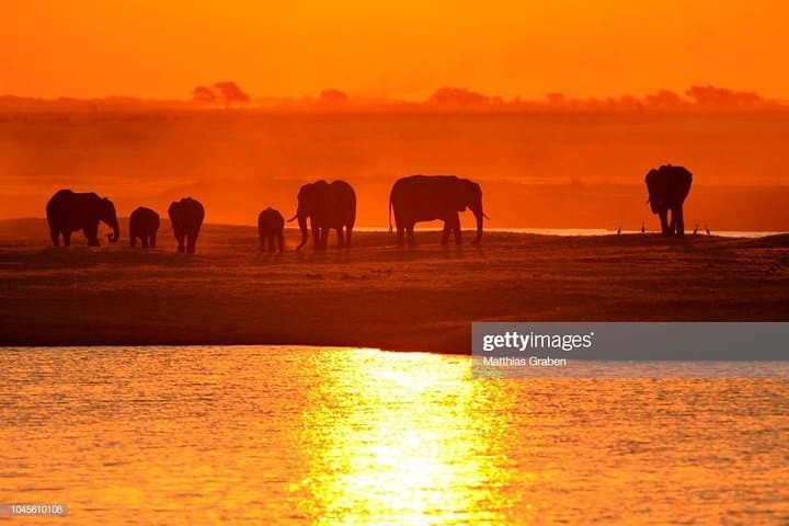 Zambezi Sunset Cruise and Zambezi National Park Game Drive — Boat-to-Bush Safari at Victoria Falls photo 6