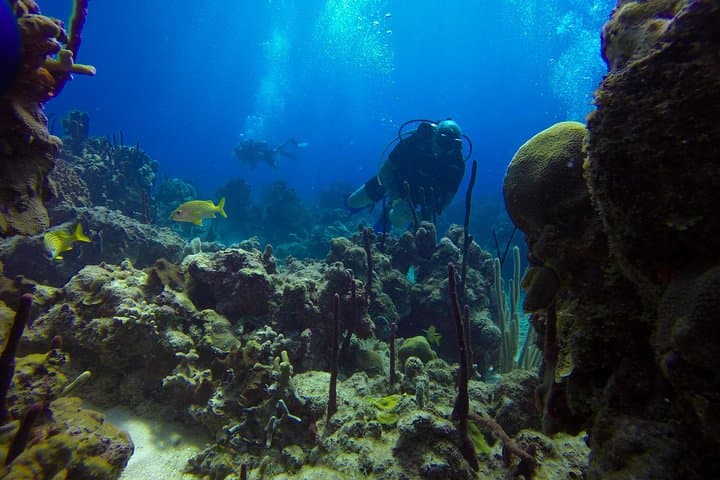 Catalina Island Scuba Diving Day Trip from La Romana — The Wall & Private Beach photo 4