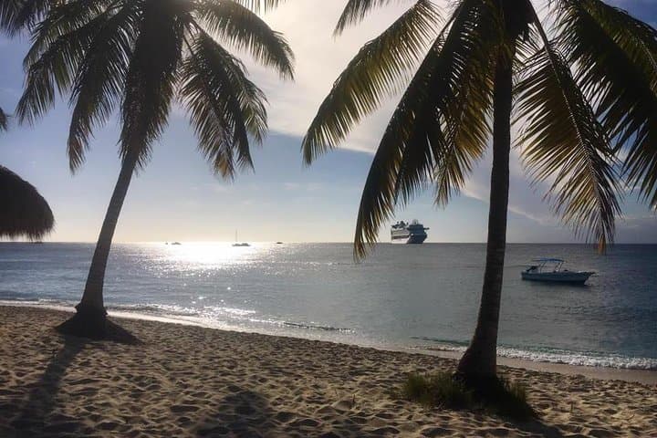 Catalina Island Scuba Diving Day Trip from La Romana — The Wall & Private Beach photo 6