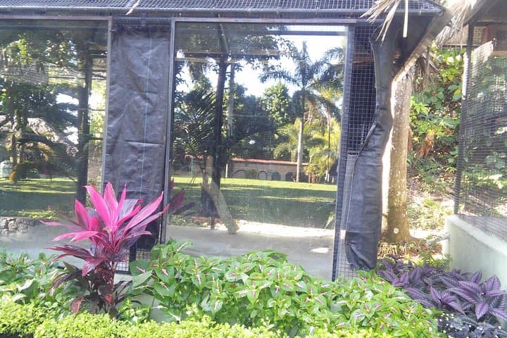 Private Tour to Konoko Falls & Gardens from Ocho Rios — Climb Waterfalls and Local Culture photo 5