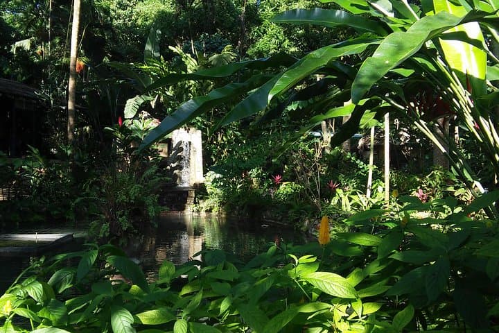 Private Tour to Konoko Falls & Gardens from Ocho Rios — Climb Waterfalls and Local Culture photo 6