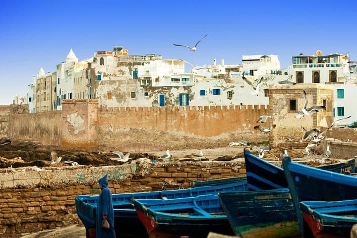 Essaouira Day Trip from Marrakech — Coastal Medina, Argan Co-ops & Ramparts photo 4