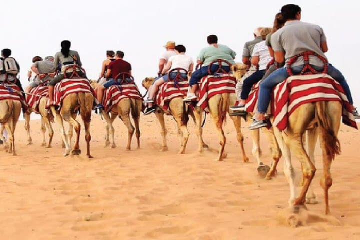 Morning Camel Trekking Safari in Dubai Desert Conservation Reserve photo 5