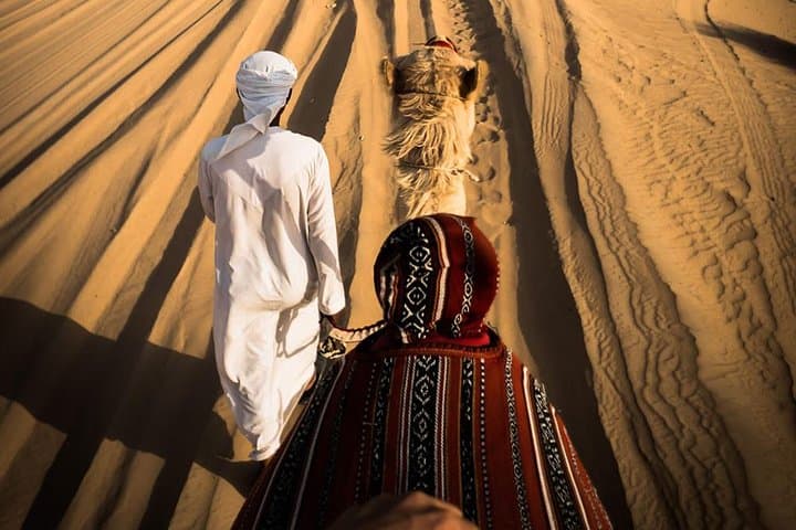 Morning Camel Trekking Safari in Dubai Desert Conservation Reserve photo 6