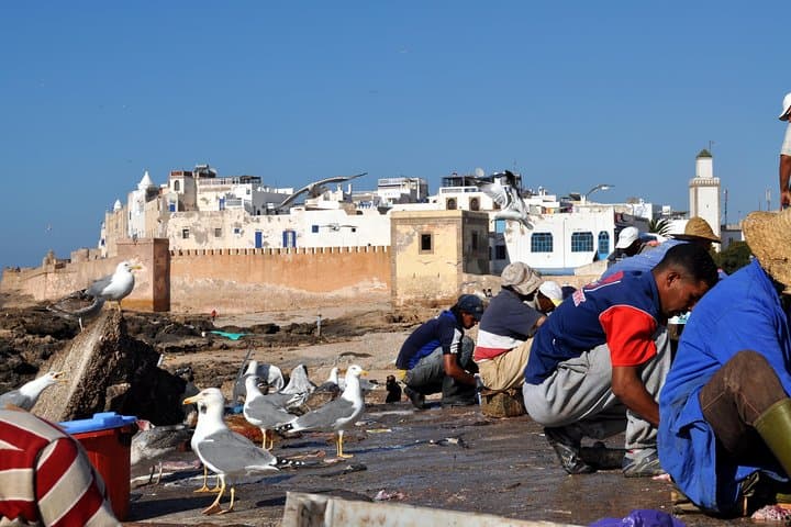 Essaouira Mogador Day Trip from Marrakech — Beaches, Medina & Argan Cooperatives photo 1