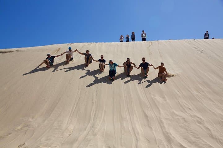 Port Stephens Dolphin Watching & Sandboarding — Private Day Trip from Sydney photo 3