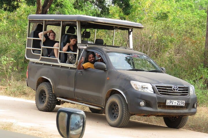 Super Luxury Jeep Safari at Yala National Park — Private Leopard & Wildlife Viewing photo 3