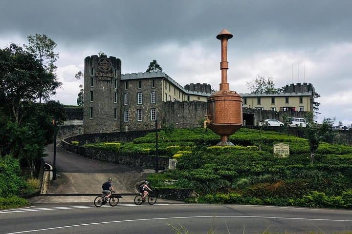 Cycle From Nuwara Eliya to Hatton: Tea-Field Descent and Scenic Train Return