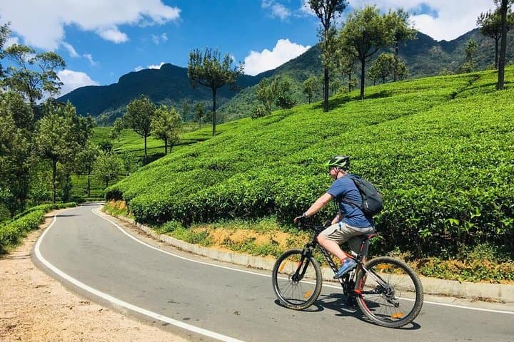 Cycle From Nuwara Eliya to Hatton: Tea-Field Descent and Scenic Train Return photo 2