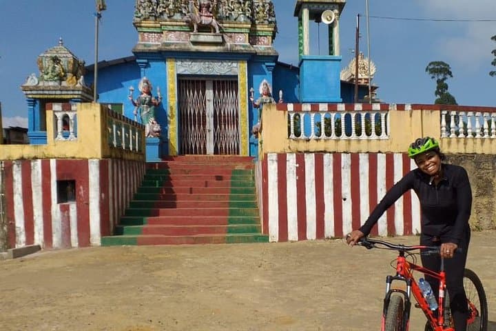 Cycle From Nuwara Eliya to Hatton: Tea-Field Descent and Scenic Train Return photo 6