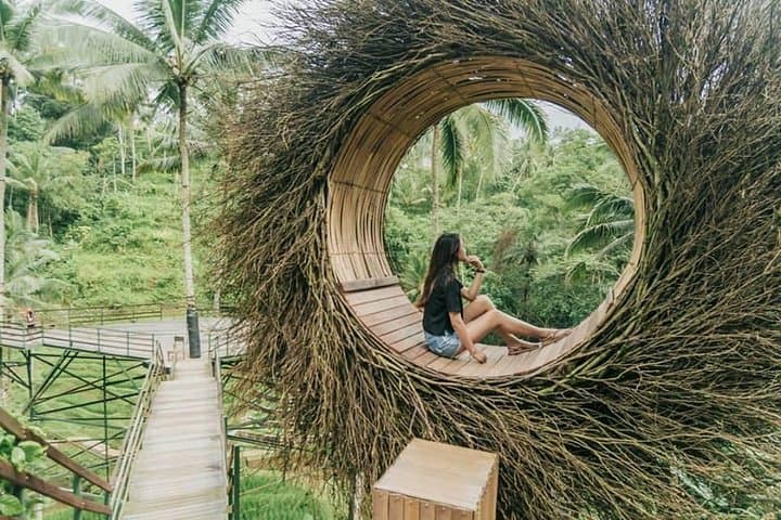 Bali Private Driver: Customize Your Day Trip to Ubud, Beaches & Temples photo 5