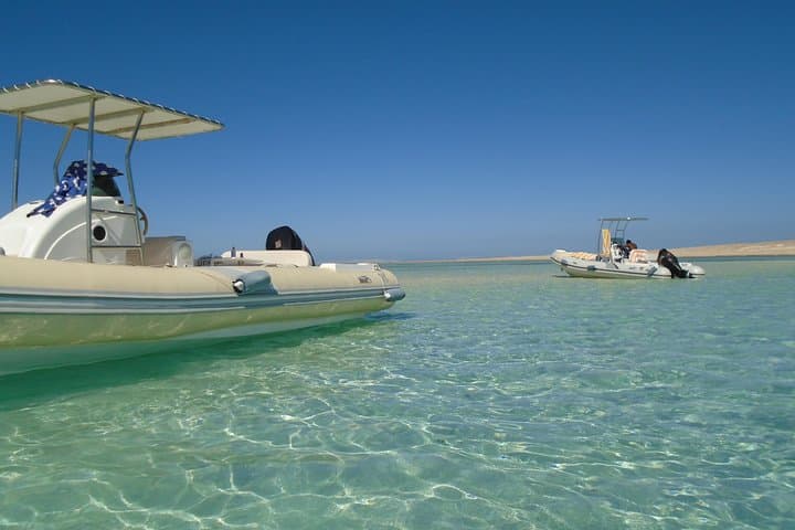 Hurghada Private Speedboat: Dolphin Watching, Snorkeling & Island Stops on the Red Sea photo 6