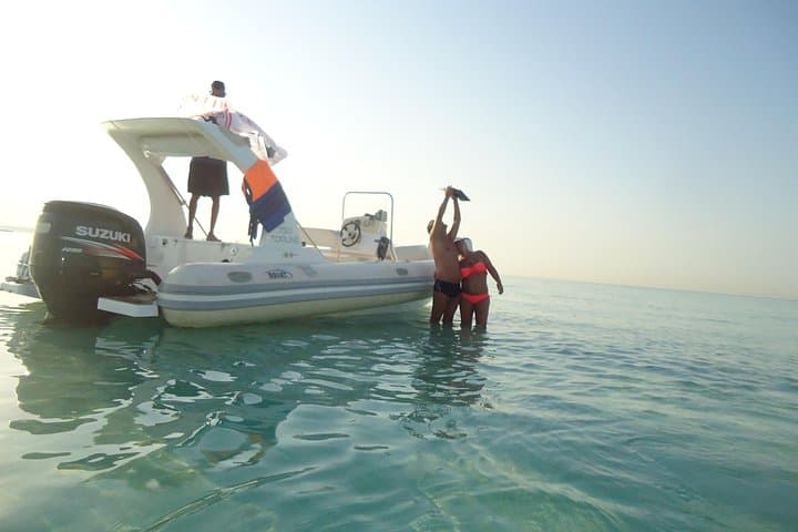 Private Speedboat Tour From Hurghada: Dolphin Watching & Snorkeling on the Red Sea photo 5