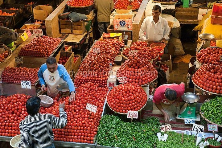 North Mauritius Full-Day Private Tour — Port Louis, Pamplemousses & Cap Malheureux photo 5