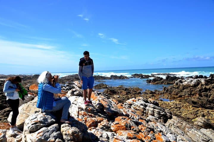 Cape Agulhas Small Group Tour: Southernmost Tip & Lighthouse Day Trip from Cape Town photo 2