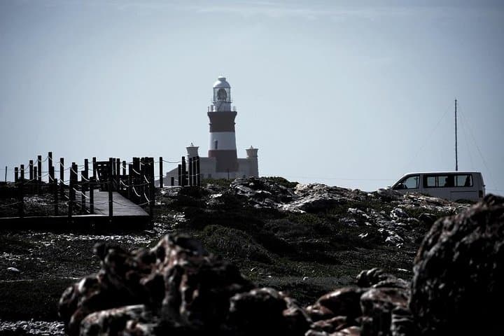 Cape Agulhas Small Group Tour: Southernmost Tip & Lighthouse Day Trip from Cape Town photo 3