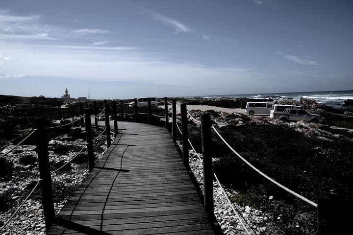 Cape Agulhas Small Group Tour: Southernmost Tip & Lighthouse Day Trip from Cape Town photo 4