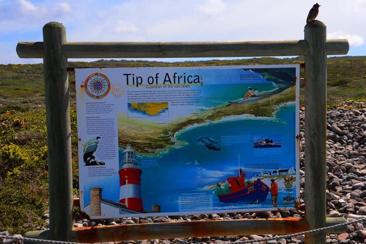Cape Agulhas Small Group Tour: Southernmost Tip & Lighthouse Day Trip from Cape Town photo 6
