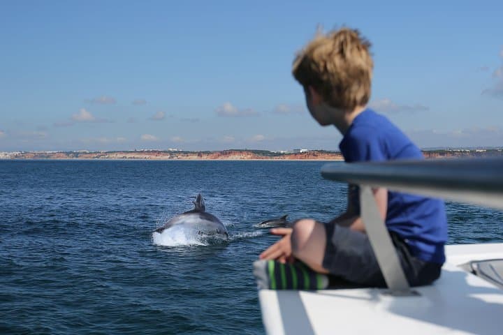 Vilamoura Dolphin Search: Dolphin Quest Boat Tour & Wild Dolphin Watching