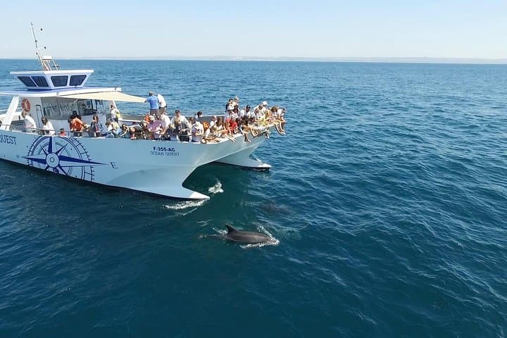 Vilamoura Dolphin Search: Dolphin Quest Boat Tour & Wild Dolphin Watching photo 4