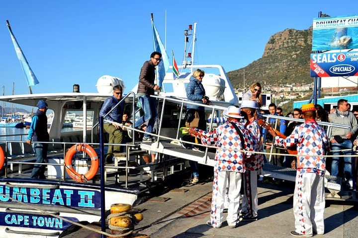 Cape Point & Boulders Penguin Tour from Cape Town — Cape of Good Hope Day Trip