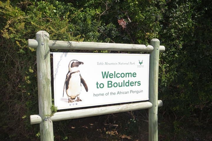 Cape Point & Boulders Penguin Tour from Cape Town — Cape of Good Hope Day Trip photo 4