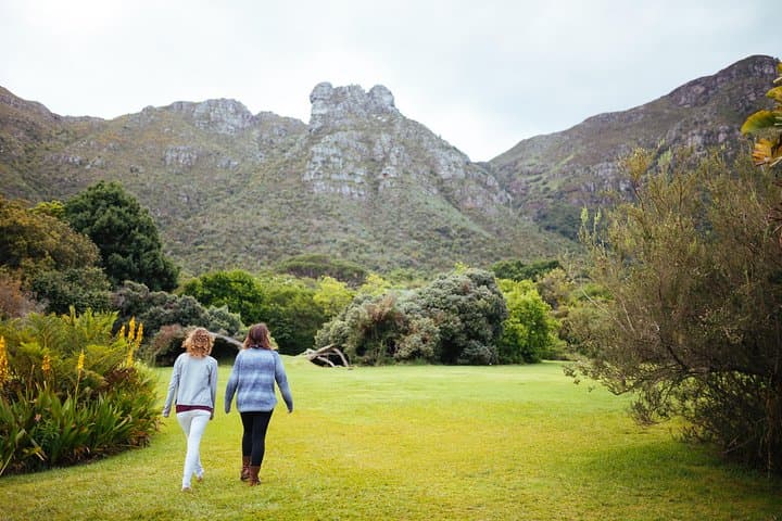 Cape Point & Boulders Penguin Tour from Cape Town — Cape of Good Hope Day Trip photo 6