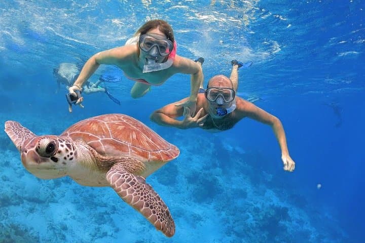 Waitukubuli Volcano Snorkeling: Swim the Champagne Reefs of Dominica photo 3