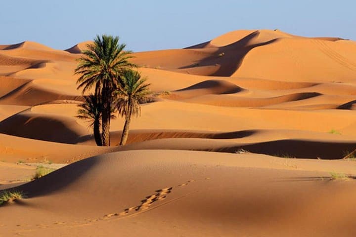 Fez to Merzouga 2-Day Private Desert Tour — Camel Trekking & Overnight in Erg Chebbi photo 2