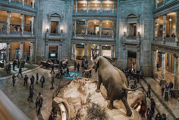 Smithsonian National Museum of Natural History Small-Group Tour: Highlights & Practical Guide photo 2