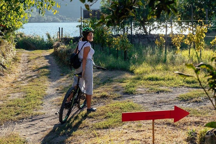 Naples Scenic E-Bike Ride to Phlegrean Fields Vineyard with Meal