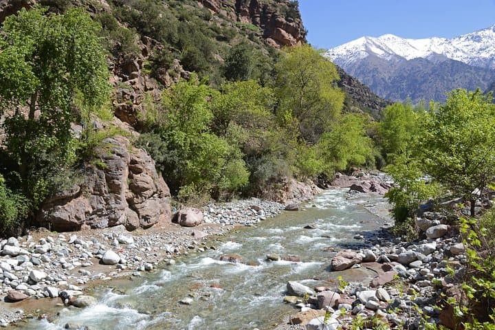 Day Trip to Ourika Valley Waterfalls — Private Guided Excursion from Marrakech photo 3