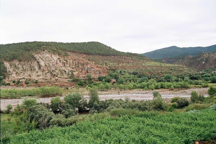 Day Trip to Ourika Valley Waterfalls — Private Guided Excursion from Marrakech photo 5