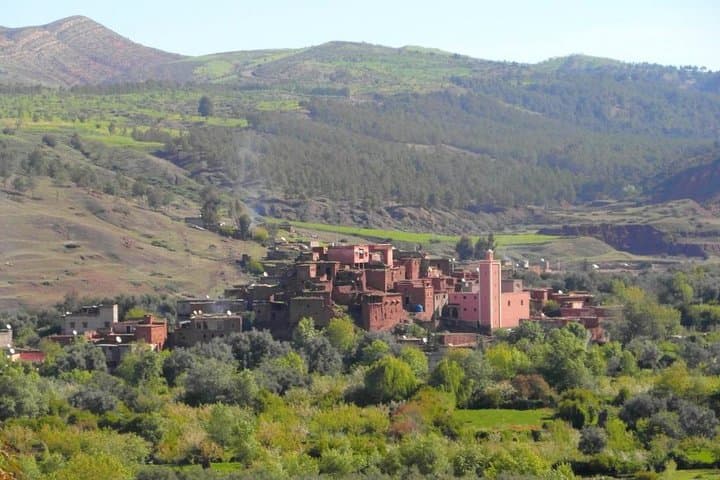 Day Trip to Ourika Valley Waterfalls — Private Guided Excursion from Marrakech photo 4