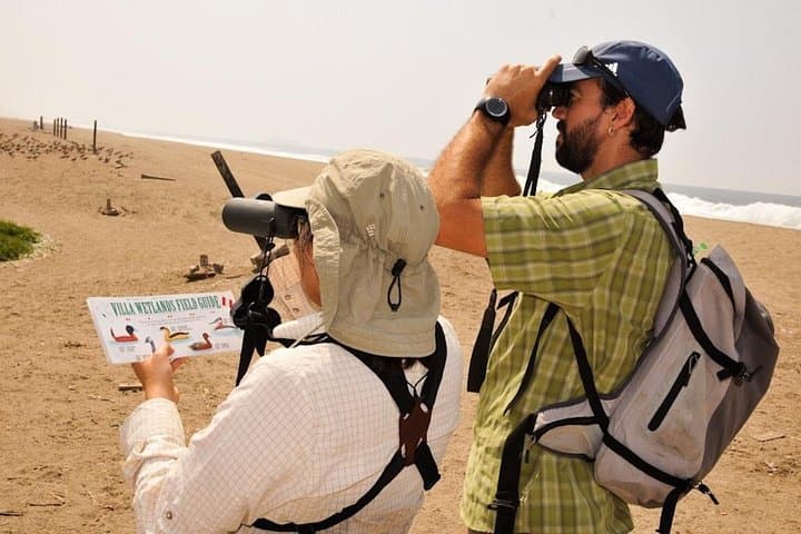 Birdwatching at Pantanos de Villa: 4-Hour Lima Wetlands Guided Tour photo 1