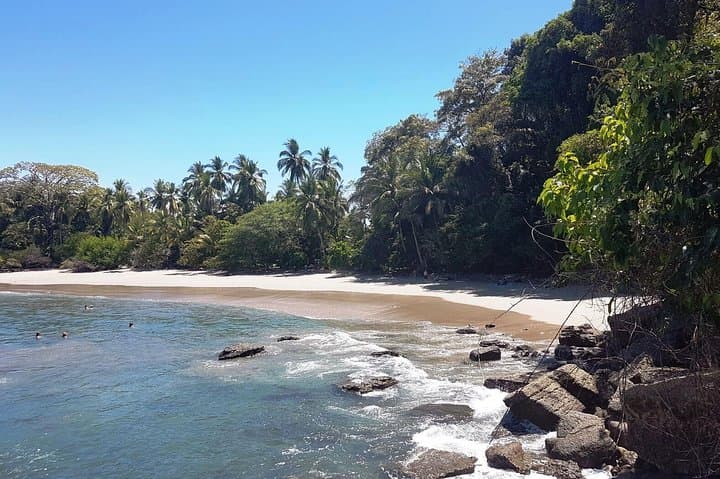 Manuel Antonio National Park: Beach & Wildlife Day Trip from San Jose photo 3