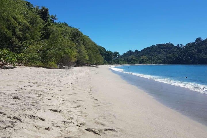Manuel Antonio Day Tour from San Jose — Beaches, Monkeys & Rainforest Trails photo 3