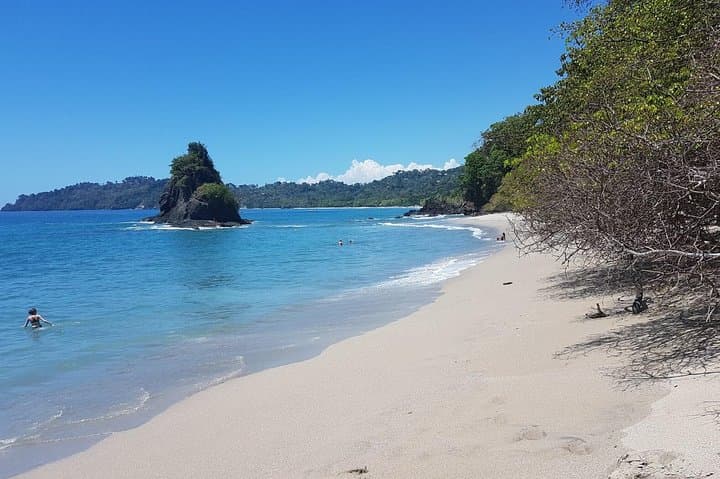 Manuel Antonio Day Tour from San Jose — Beaches, Monkeys & Rainforest Trails photo 5