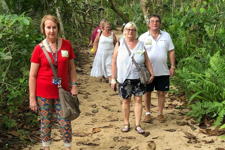 Cahuita National Park Walk & Banana Plantation Shore Excursion from Limón photo 5