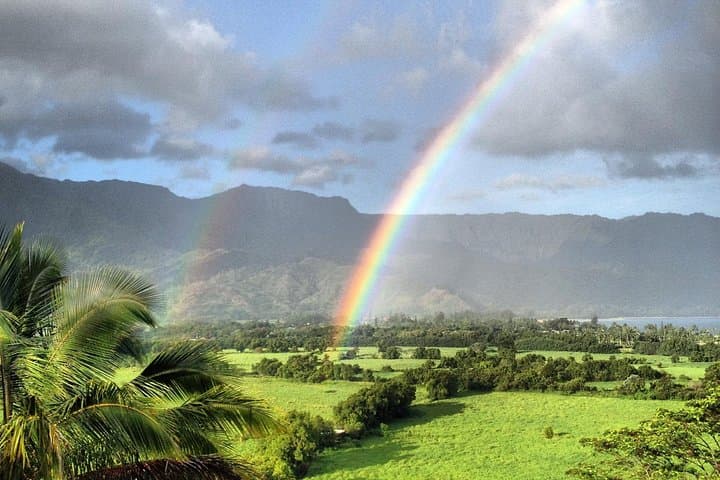 East Side to North Shore: Private Kauai Guided Tour of Waterfalls, Beaches & Lighthouse photo 1