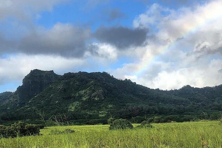 East Side to North Shore: Private Kauai Guided Tour of Waterfalls, Beaches & Lighthouse photo 4