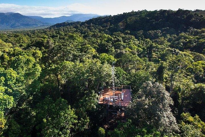 Daintree Discovery Centre: Canopy Walks, Aerial Trails & Rainforest Learning photo 4