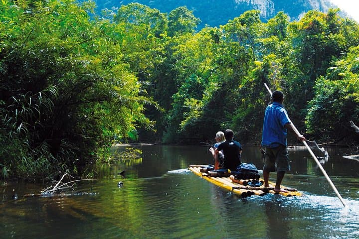 Khao Sok Full-Day Rainforest Trek and Bamboo Rafting from Krabi photo 4