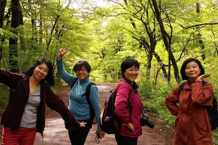 Jeju Private Half-Day Transport — Customize South & West Island Highlights photo 5