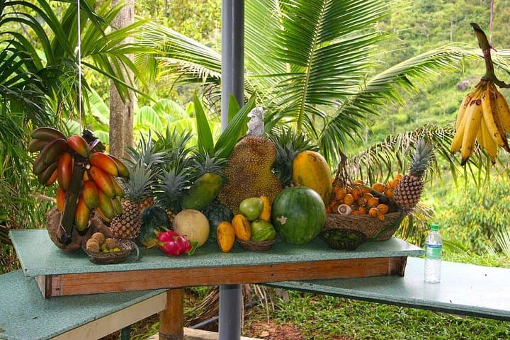 Penang Half-Day: George Town Heritage Tour & Tropical Fruit Farm Visit photo 3
